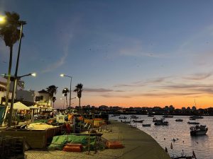 IMG_3446