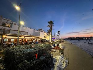 IMG_3447