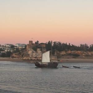 cropped-IMG_3405.jpg